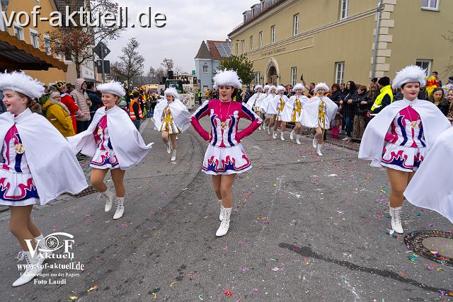 Foto Laudi_Pleintinger_Faschingszug-206271.jpg